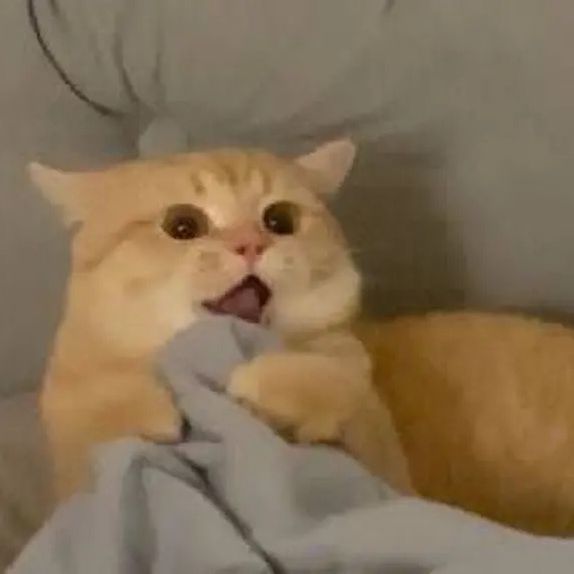 Profile Picture of simon liang (@jackylove677) on Tiktok