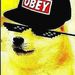 Profile Picture of Kyle Stilwell (@kylestilwellsj) on Pinterest