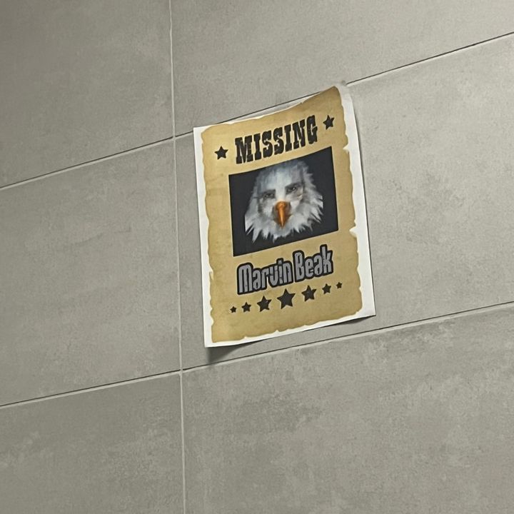 Profile Picture of Colton Brewster (@colton.brewster) on Tiktok