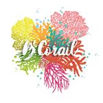 Profile Picture of Laura-Inés René-Corail (@bcorail) on Instagram