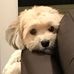 Profile Picture of Cody Scrivner (@cody.scrivner.79) on Facebook
