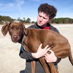 Profile Picture of Cameron Albert-Deitch (@calbertdeitch) on Instagram