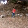 Profile Picture of Prabhakar Joshi (@prabhakarjoshi1) on Tiktok