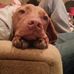 Profile Picture of William Gray (@william.gray.10888) on Facebook