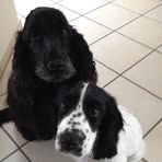 Henriette Nimb Pfeiffer - Facebook Profile Picture of Henriette Nimb Pfeiffer (@henriettenimb.pfeiffer) on Facebook