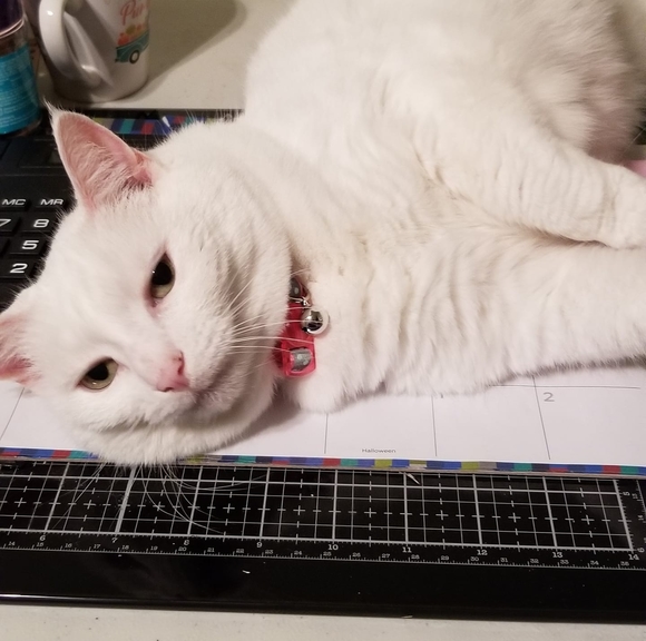 Profile Picture of Penny Latimer (@mysticfire610) on Poshmark