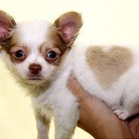 Profile Picture of Julia Nolan Nappo (@julia-nolan-nappo) on Quora