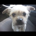 roxanne_cannon - Instagram Profile Picture of roxanne_cannon (@roxanne_cannon) on Instagram