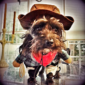 Profile Picture of Joseph Hummel (@josephhummel8736) on Youtube