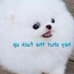 Profile Picture of Shyla Swafford (@shyla_byrd) on Instagram