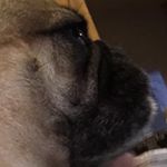 Profile Picture of Vincent Combs (@_vince_combs) on Instagram