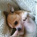 Profile Picture of Cheryl Cobb (@cobb_cheryl) on Instagram