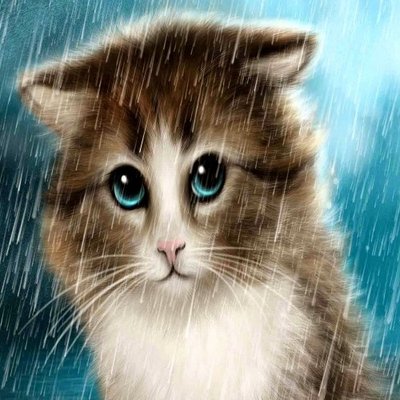 Profile Picture of David O' Grady (@_dr_dave) on Twitter