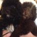 Profile Picture of Debbie Starrett (@debbie.starrett.58) on Facebook