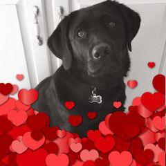 Profile Picture of kericaseybenvenut (@@kericaseybenvenuti) on Tiktok