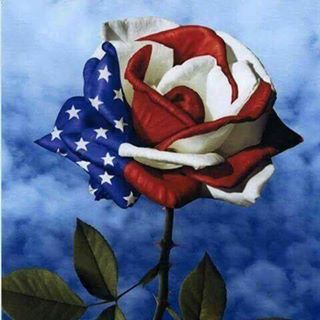 Profile Picture of Kim Oglesby (@kim.oglesby.142) on Facebook