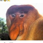 Profile Picture of Paul.mattera (@paul.mattera) on Instagram