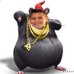 Profile Picture of Christopher DeStefano (@cjdestefano) on Instagram