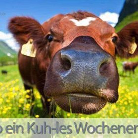 Profile Picture of Vicki Rudolph (@VickiRudolph1) on Twitter