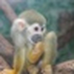 Profile Picture of Gilbert Rodriguez (@gilbert.200058@yahoo.com) on Flickr