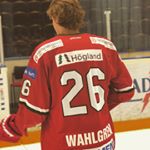 Profile Picture of Joel Wahlgren (@joelwahlgrens) on Instagram