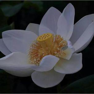 Profile Picture of Kimriso (@kimriso2) on Twitter