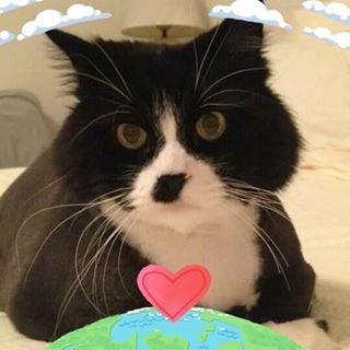 Profile Picture of Joan Caccamo (@joan.caccamo.9) on Facebook