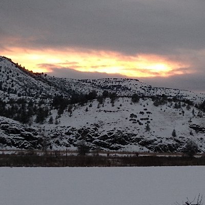 Profile Picture of Tad Eley (@eley_tad) on Twitter