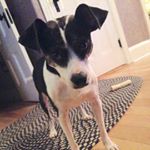 Profile Picture of James Spaulding (@james.g.spaulding) on Instagram