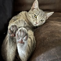 Profile Picture of Mario Cotto  (@mario-cotto-5) on Quora