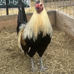 Profile Picture of Christopher Oca Villanueva (@christopher.villanueva.7549) on Facebook