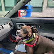 Profile Picture of Jesse Baughman (@thetureidoitsyt3915) on Youtube