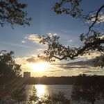 Profile Picture of Lisa Rawlings (@lisa_rawlings) on Instagram