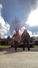 Profile Picture of   TikTok moriah🦋... (@moriah.cornett) on Tiktok