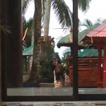 Profile Picture of Jocell Anne Peliño (@jx_anne) on Instagram