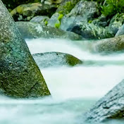 Profile Picture of LORA DAVIDSON (@loradavidson3295) on Youtube