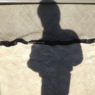 Profile Picture of Shane Gibson (@bigbrothershane) on Facebook