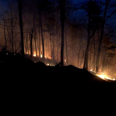 Profile Picture of Richard Sealey (@rdsealey1) on Twitter