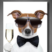 Profile Picture of Guillermo Tolentino E (@guillermotolentinoe4000) on Youtube