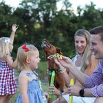 Profile Picture of Daniel Ehringer (@daniel_ehringer) on Instagram