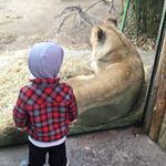 Profile Picture of Rebecca Lieberman (@beckyspring) on Instagram