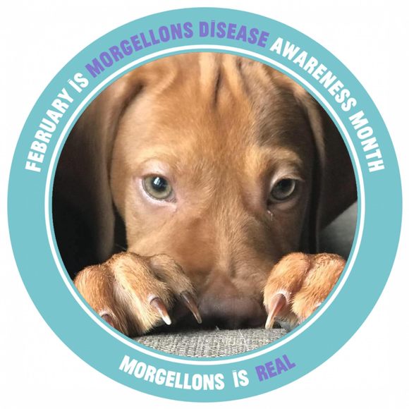 Profile Picture of Amee Ruthven (@ames922) on Poshmark