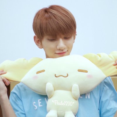 Profile Picture of みーこ (@moari8) on Twitter