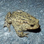 Profile Picture of gordon smith (@gordonstirlingsmith) on Flickr