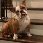 Profile Picture of Darrell Montgomery (@montgomery_darrell) on Instagram