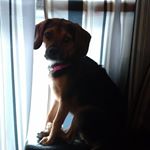 Profile Picture of Tyler Luckey (@tylerluckey) on Instagram