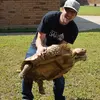 Profile Picture of christopherhunter1 (@christopherhunter1) on Tiktok