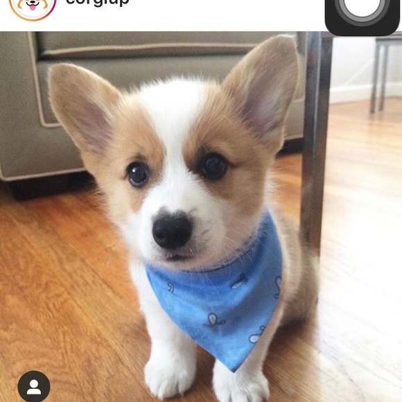 Profile Picture of Cas Visel (@crvisel67) on Poshmark