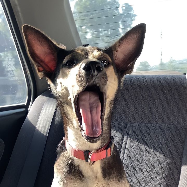 Profile Picture of Brelrito (@brelrito) on Tiktok