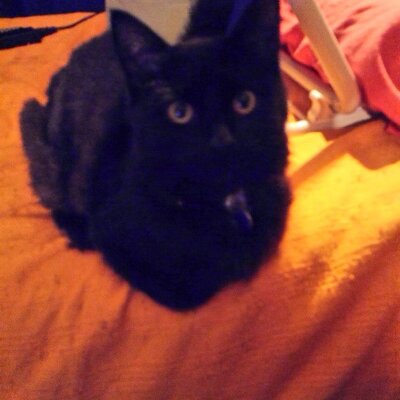 Profile Picture of JPP (@JohnPea71457483) on Twitter